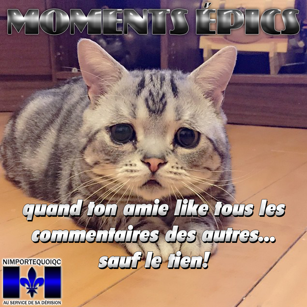 mostofview